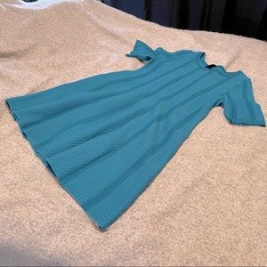 Lane Bryant Textured Fit & Flare Sweater Dress